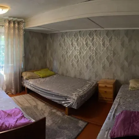 Дом На Берегу Чудского Озера Apartment *